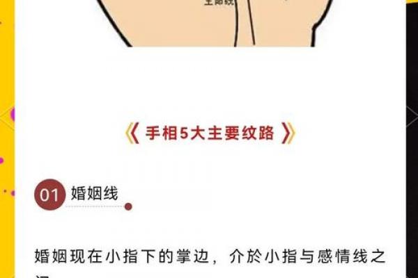 怎么看手相算命?只看男左女右对吗? 怎么看手相算命?只看男左女右对吗?