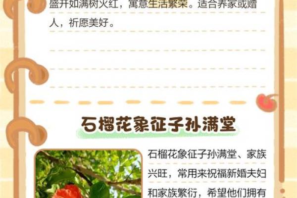 风水石榴寓意石榴石象征意义 风水石榴寓意石榴石象征意义