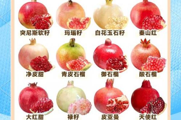 风水石榴寓意石榴石象征意义 风水石榴寓意石榴石象征意义