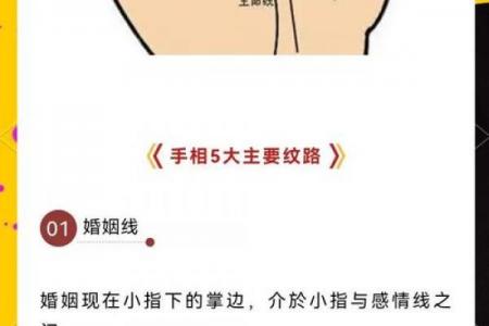 怎么看手相算命？只看男左女右对吗？