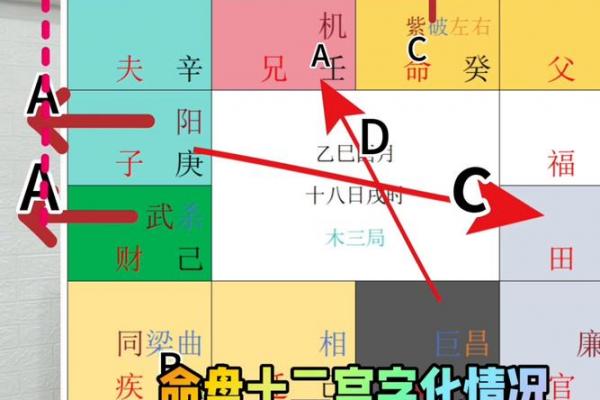 紫薇斗数与看盘