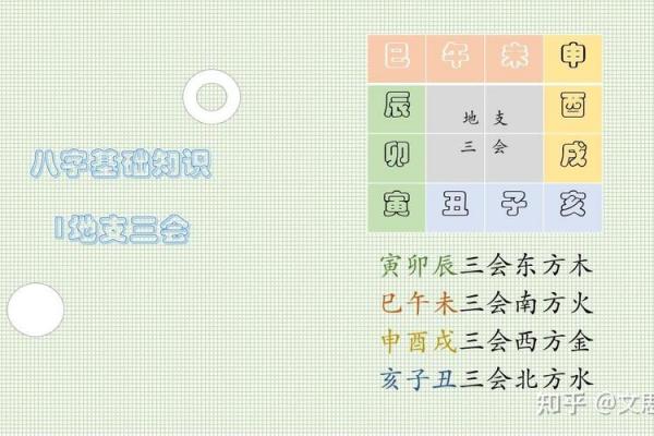 八字地支三会是怎么应用的？