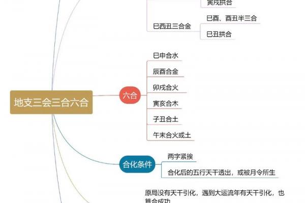 八字地支三会是怎么应用的？