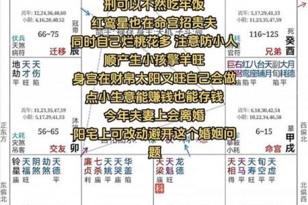 紫薇斗数文章
