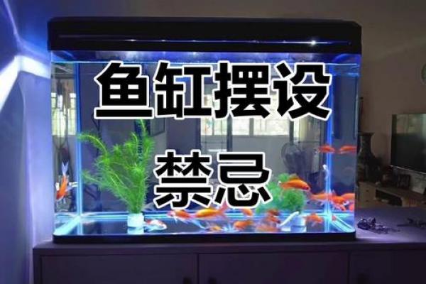 办公室风水鱼缸的摆放禁忌 鱼的数目也是有讲究的 办公室风水鱼缸的摆放禁忌 鱼的数目也是有讲究的