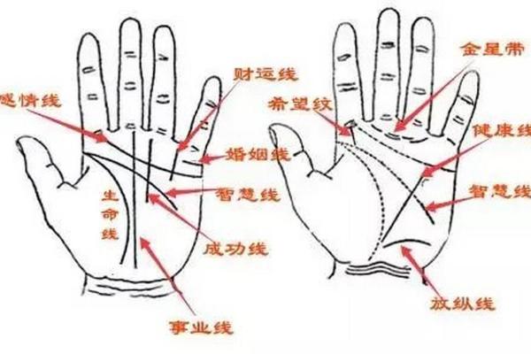 财运线是哪一条？财运线算命图解
