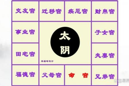 紫微斗数之事业宫与诸星，太阴星在事业宫是什么意思？