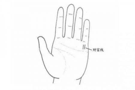 财运线是哪一条？财运线算命图解