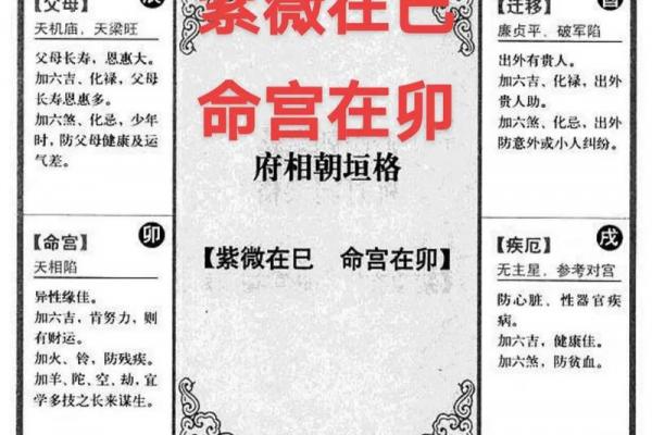 紫薇斗数太岁流年