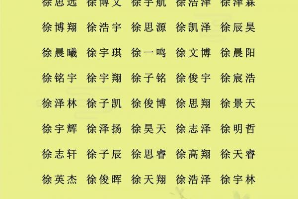 根据宝宝生辰八字起名，起名步骤，适合猪年男孩女孩的名字推荐