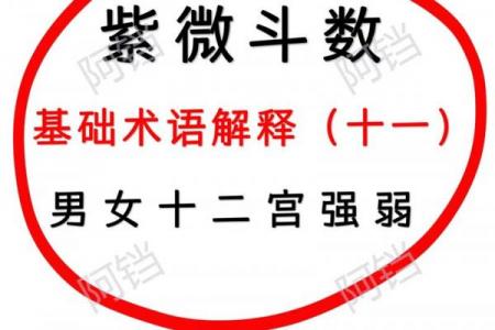 紫微斗数术语解释之：三方四正