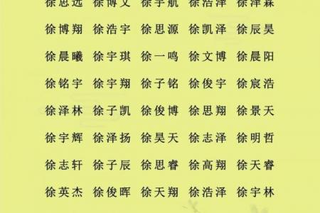 根据宝宝生辰八字起名，起名步骤，适合猪年男孩女孩的名字推荐