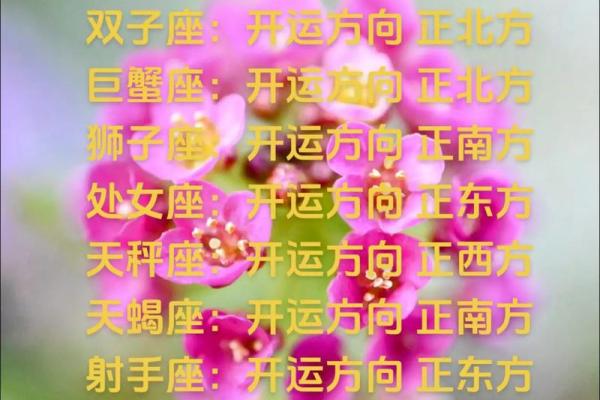 十二星座的运势2025 十二星座的运势是什么