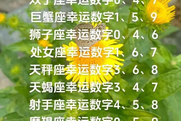 白羊座今日运势查询星座_白羊座今日运势  第一星座