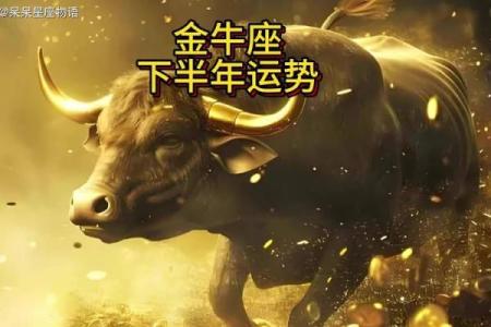 金牛座运势明天_查一下金牛座明天的运势