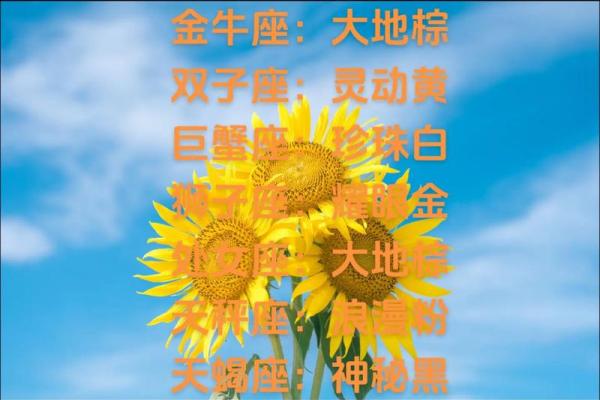 2025年处女座的运势_2025年处女座的运势第一星座网