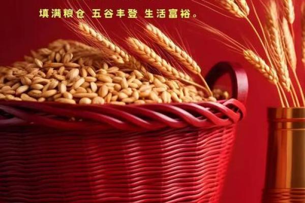 2024年2月26日是什么日子(2024年2月29日解释)