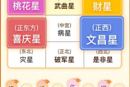 生肖运势和星座运势哪个准_星座运和生肖运完全相反