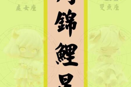 处女今天的运势如何_处女座今日运势解析好运降临还是挑战重重