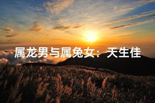 女孩属龙男孩属兔婚配好吗_女生属龙和男生属兔的婚姻相配吗 女孩属龙男孩属兔婚配好吗_女生属龙和男生属兔的婚姻相配吗