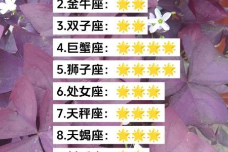 本周的星座运势_本周星座运势大揭秘12星座运势全解析