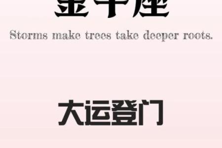 2025金牛座全年运势完整版_2025年金牛座牢狱之灾