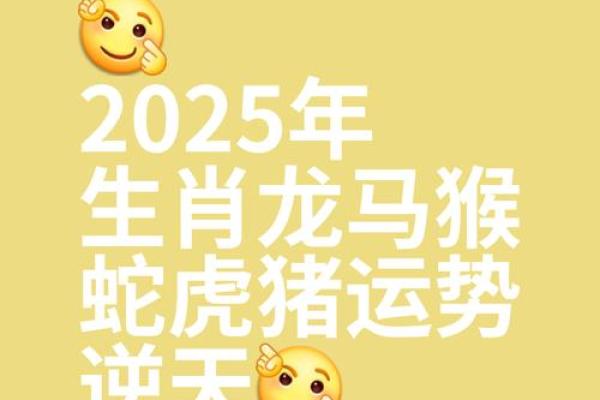 76年属龙2025全年运势详解逐月运程精准预测