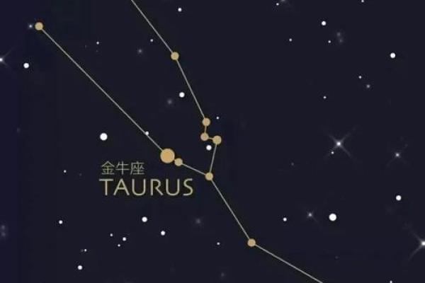 2024年金牛座健康运势解析全年健康指南