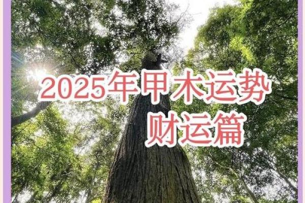 2025年属龙人全年财运走势大揭秘机遇月份全解析
