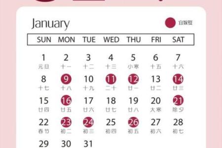 2023年2月做满月吉日(2023年2月份的月历表)