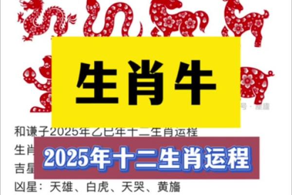 2025属龙88年人全年运势_2025年属龙88年人全年运势解析每月运程深度指南 2025属龙88年人全年运势_2025年属龙88年人全年运势解析每月运程深度指南