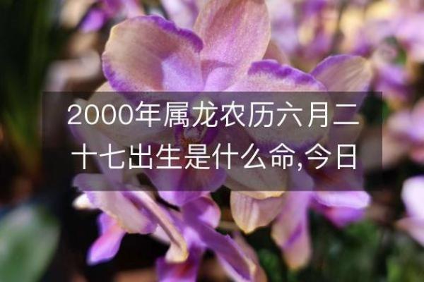 2000年属龙人姻缘在哪一年_龙最不合的四个属相 2000年属龙人姻缘在哪一年_龙最不合的四个属相