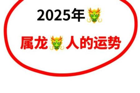 2025年属龙人的运程_2025年属龙人全年每月运程深度解析
