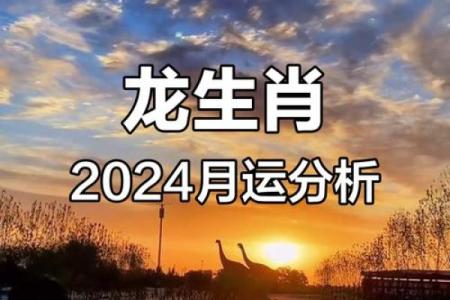 属龙2024年的全年运势_2024属龙人全年运势大揭秘逐月运程完整解析