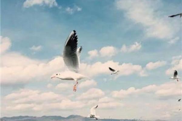 2021幸运微信头像 2021幸运微信头像