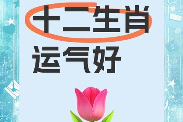 属龙的幸运色是什么颜色2025 2025年属龙幸运色揭晓全年每月开运色彩指南