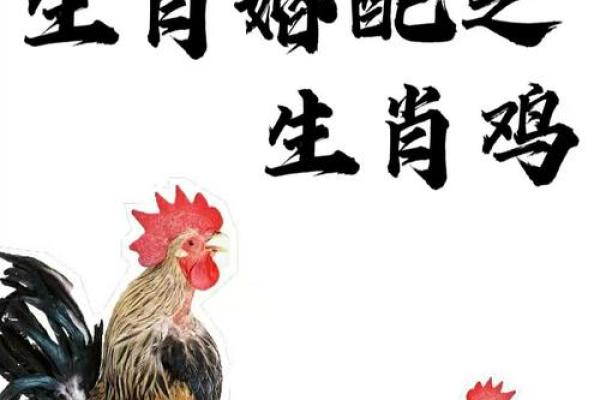 哪个生肖男离不开属鸡女 让属鸡男死心塌地的生肖女 哪个生肖男离不开属鸡女 让属鸡男死心塌地的生肖女