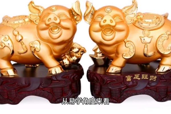 2007年属猪2025年佩戴什么合适 2007年属猪2025年佩戴什么最旺运 2007年属猪2025年佩戴什么合适 2007年属猪2025年佩戴什么最旺运