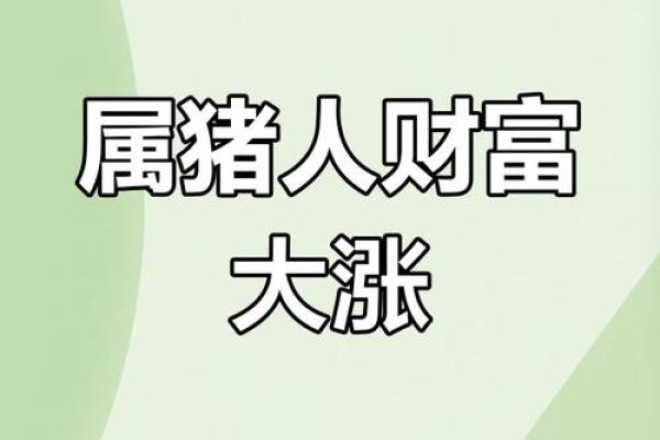 属猪的人今日运势和财运 属猪人今日运势解析财运亨通机遇与挑战并存 属猪的人今日运势和财运 属猪人今日运势解析财运亨通机遇与挑战并存