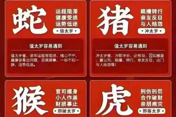 2025蛇年属龙运势全解析全年每月运程指南 2025蛇年属龙运势全解析全年每月运程指南