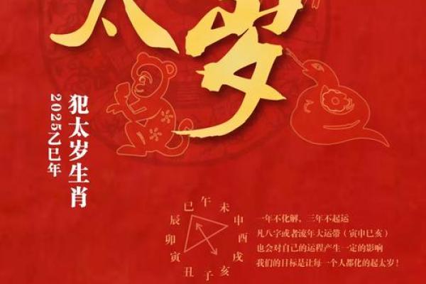 2025年生肖猪冲太岁_2025年生肖猪冲太岁戴什么吉祥物好