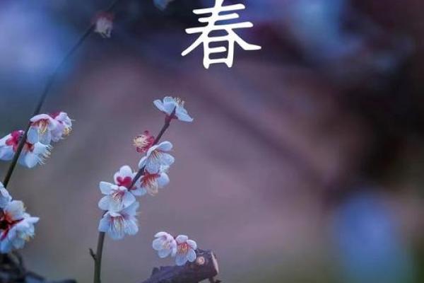 2024立春图片 2024立春图片