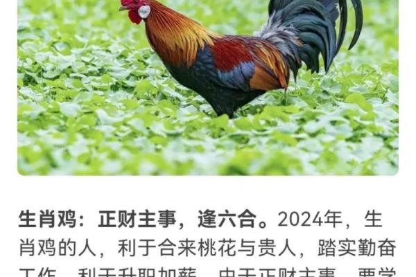1976属龙女未来十年大运前瞻甲辰龙年起十年运势详解2024 1976属龙女未来十年大运前瞻甲辰龙年起十年运势详解2024