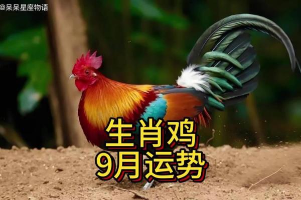 1981年属鸡2025年多少岁_1981年2025年属鸡人的全年运势