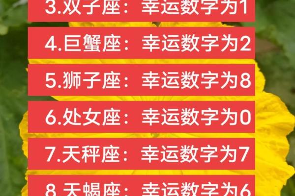 白羊座女生今日运势