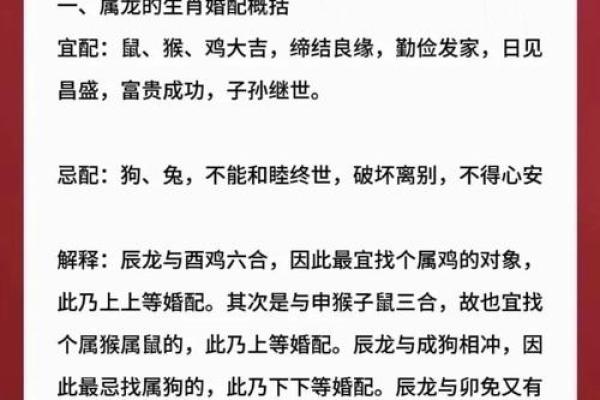 属龙今年运势 2024年属龙运势全解析全年每月运程完整指南
