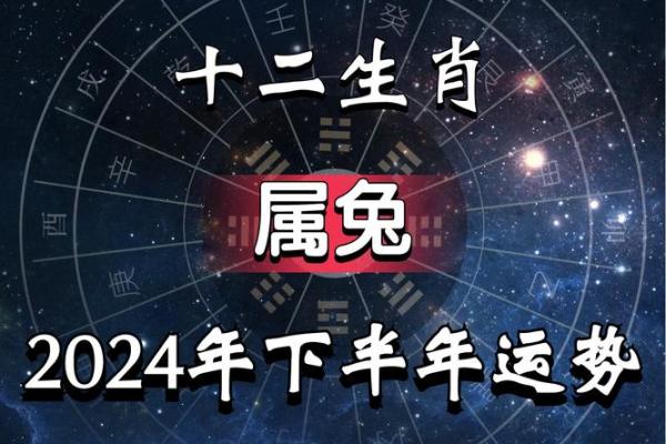 2025年属兔运势详解财运事业感情全面解析_1739580510 2025年属兔运势详解财运事业感情全面解析_1739580510