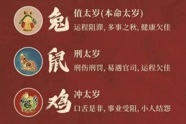 2025属兔的今年多大年龄_2025属兔的今年多大年龄了