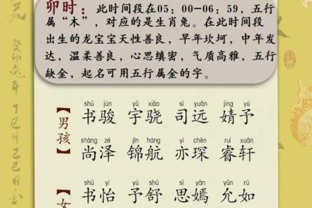 2024龙是什么命 五行属什么 2012年属什么生肖龙命