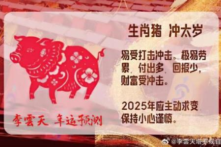 属猪人2025年全年运势详解及每月运程预测